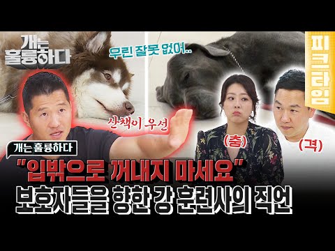 [피크타임] &amp;quot;보호자님, 제 느낌은 꽤 정확하거든요...&amp;quot; 솔루션을 마친 강 훈련사가 다시 몽이를 만나고자 한 이유는? | 개는 훌륭하다 | KBS 220808 방송