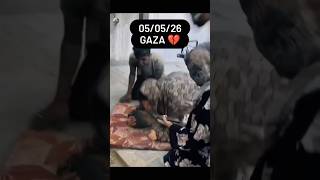 Gaza 🥺