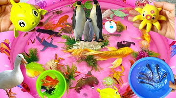 Sinh vật biển,cá mập,bọ cạp,cá chép,cá đuối,ốc mượn hồn,cá 3 đuôi,sứa,san hô,cá mập con,cá lóc,cá,ốc