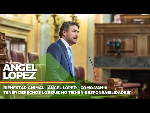 Bienestar animal | Ángel López: '¡Cómo van a tener derechos los que no tienen responsabilidades!'