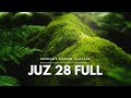 Juz 28 Full Mishary Rasyid Al Afasy 
