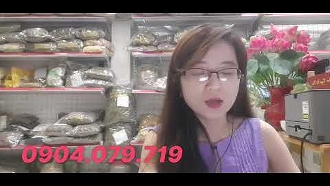 Đang dùng thuốc tây có uống cây xạ đen được không?