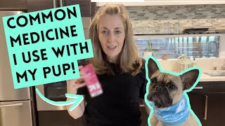 How I Used Benadryl for Mila's Allergic Reaction | Common Medicine for Dogs