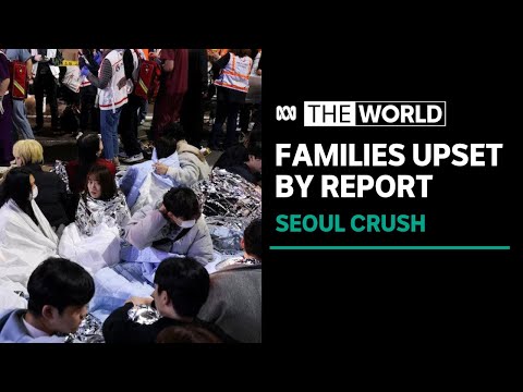 Key senior officials “spared blame” in south korea crowd crush report | the world