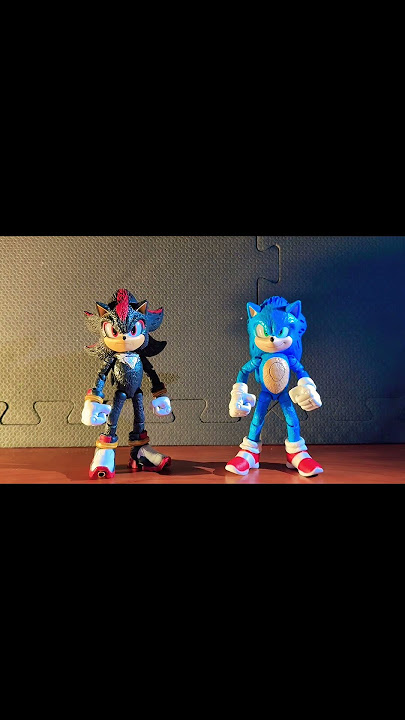 Sonic and shadow stop motion