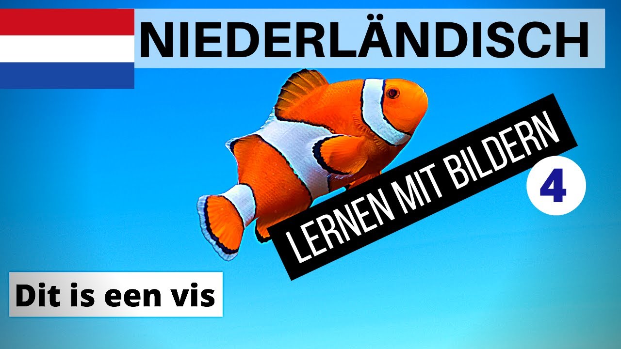 Niederländisch Lernen Kostenlos Ohne Anmeldung www.youtube.com