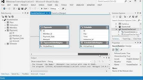 Database DataSet and Details View in Visual Studio