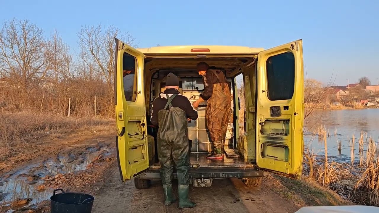 Populare Balta Sinești 2/03.03.2026