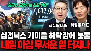 삼전닉스 개미들 하락장에 눈물, 내일 아침 무서운일 터지나 (조진표 대표, 하창봉 대표 /투자 특집)