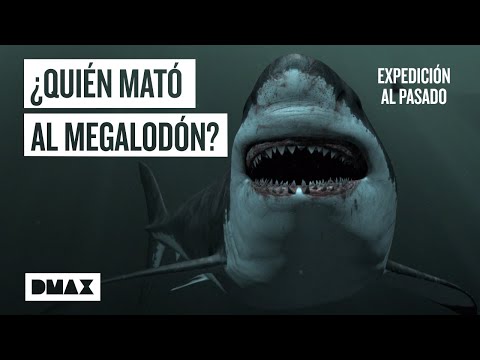 Vídeo: Los Científicos Finalmente Han Descubierto Qué Causó La Extinción De Los Megalodones - Vista Alternativa