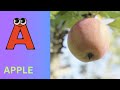 ABC Phonics Song | Alphabet letter sounds | ABC learning for toddlers | Education ABC Nursery Rhymes