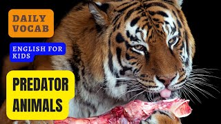 PREDATOR ANIMALS FOR KIDS || DAILY VOCAB || LEARNING ENGLISH FOR KIDS || EDUCATIONAL VIDEO