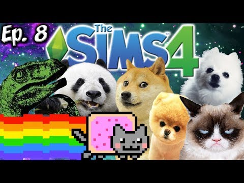 adopting-animal-memes!!-|-the-sims-4:-memes-theme-|-ep.-8