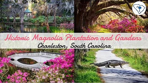 MAGNOLIA GARDENS | BOAT AND WALKING TOUR VLOG | CHARLESTON SC