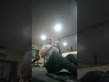 #Back D@y#short vedio#Gym Motivation#short#