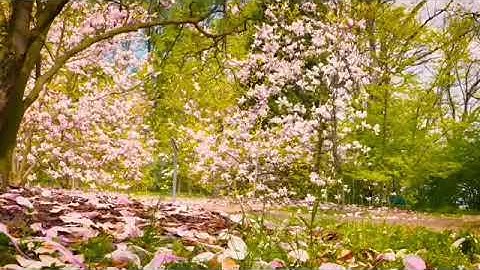 أذكار الصباح، صلاة الضحى وردكم استبشروا استغفروا 🌿