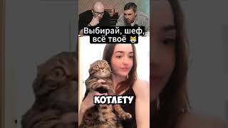 Когда очень голоден 😋🐱#приколы #ржака #реакция #угар #мемчики #шортс