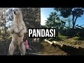 UM DOS MAIORES ZOOLOGICOS DO MUNDO!