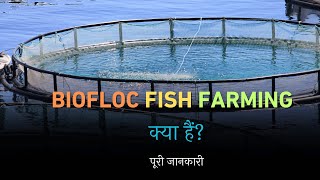 What is Biofloc Fish Farming with Full Information? – [Hindi] – Quick Support