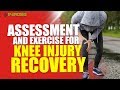 Assessment and Exercises for Knee Injury Recovery