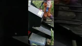 YANMAR Garlic Harvester HZ1 #shorts #agrimachinery