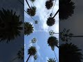 You Opend My Gallery #gallery #nature