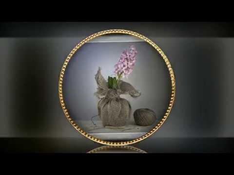 Video: XXIV Starptautiskā Ziedu, Augu, Iekārtu Un Materiālu Izstāde Dekoratīvajai Dārzkopībai Un Ziedu Biznesam 