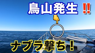 【鳥山発生】青物ジギングだったがナブラ撃ち！結果はまさかの・・・極太サバは脂ノリノリで激ウマ！