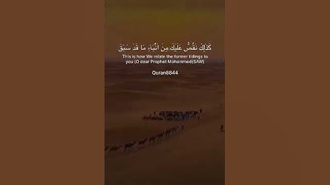 Surah Taha '98' سورة طه إنما إلهكم الله الذي لا إله إلا هو وسع كل شيء|#راحة_نفسية #quran #طارق_محمد