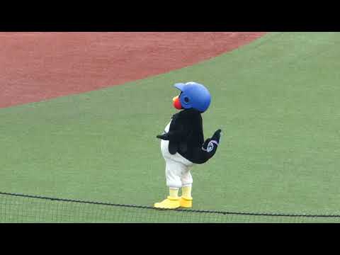 【ヤクルトマンナイター】夏の日の2896