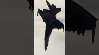 Viggen Tried to Run — Didn’t Make It | DCS World