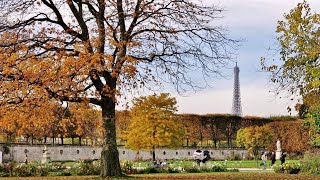跟著音樂去旅行~巴黎- 杜樂麗花園(法語：Jardin des Tuileries ... 