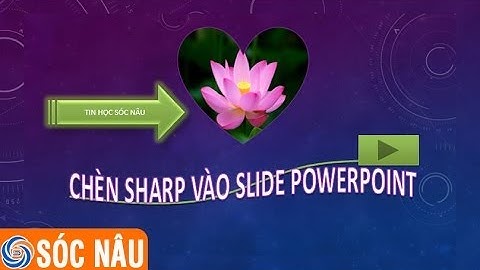 Bài 05: Chèn  Shapes vào Slide trong PowerPoint 2013