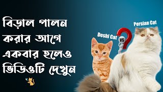 দেশি বিড়াল পালন করবেন নাকি পার্সিয়ান বিড়াল পালন করবেন - Persian Cat VS Deshi Cat - Pet House BD screenshot 1