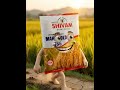 Shivam Seeds MAHA GOLD786.Hybrid Paddy. शिवम सीड्स महा गोल्ड786 अधिक उत्पादन देने वाला हाइब्रिड धान|