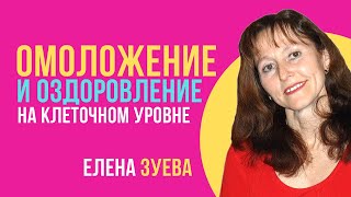 ✅ Омоложение и оздоровление организма на клеточном уровне. Елена Зуева ✅