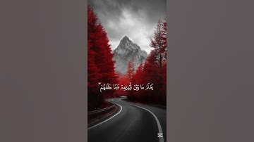 قرآن كريم بصوت جميل للقارئ سعود الشريم #قرآن_كريم #quran #سعود_الشريم