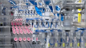 CT Pack x Grupo Alacant: Secondary Packaging Line for Ice Cream Cones