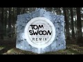 Miniature de la vidéo de la chanson Daylight (Tom Swoon Remix)