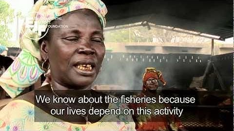 Illegal Fishing: What