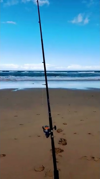 #beachfishing  #fishing