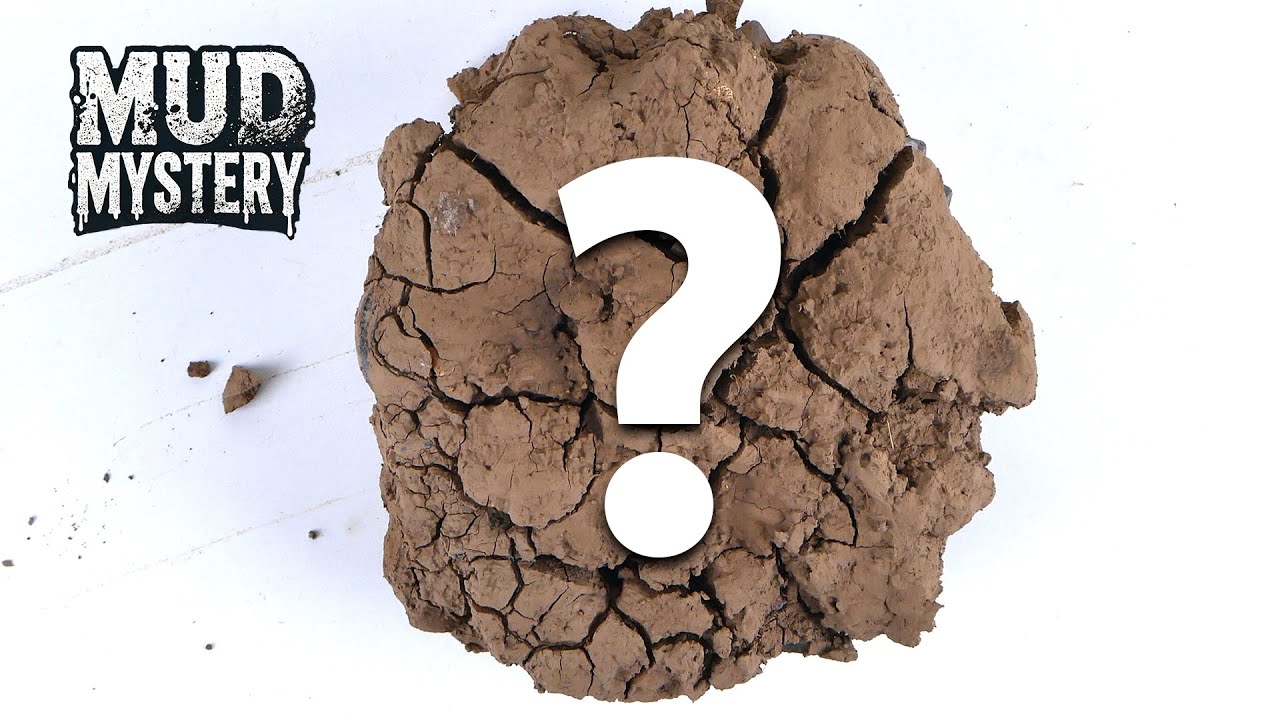MUD MYSTERY!🔍- Guess What's Covered In The Mud!? #7