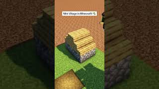  Mini Village Biome In Minecraft 