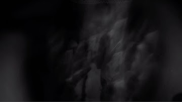 Ways of Seeing - Every Night (Official Video)