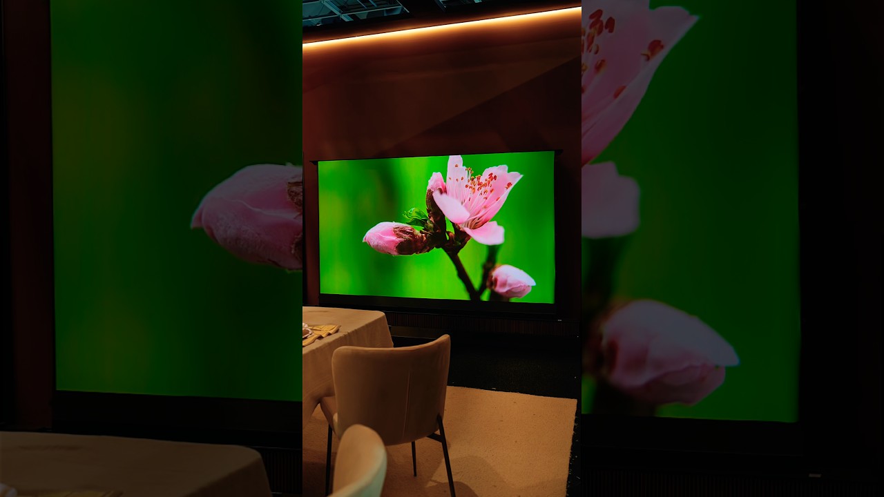 XGIMI Made a Projector That Doesn’t Fear Daylight