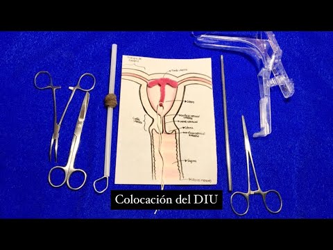 Vídeo: Com es diu habitualment el decàleg?