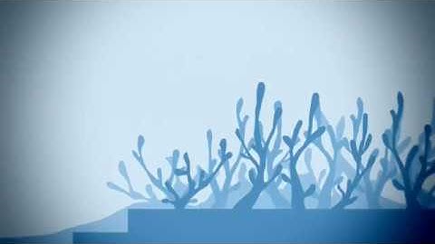 Danganronpa: Falling Future // Chapter Two BDA