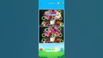 Flower pot Find 8 Differences Level 70