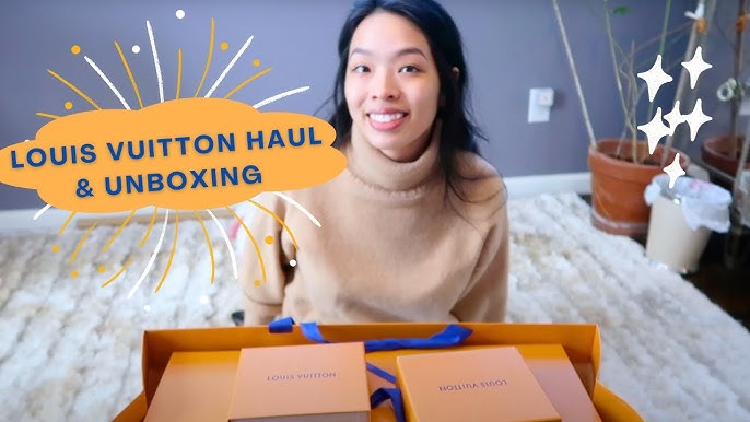 NEW 🎉 LOUIS VUITTON LOOP HOBO GM UNBOXING