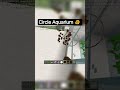 Circle Aquarium 🐠 In Minecraft 😨(KAMALI)#minecraft#KAMALI#gaming#shorts